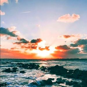 Meet your Posher, Nora